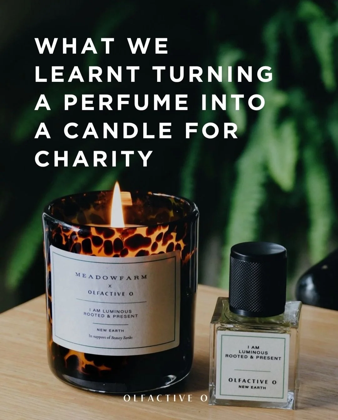 The New Earth candle goes on sale tonight! 🕯️❤️

Join @salihughes and @aliceduparcq live at 6.30pm, with candles available straight after at 7.30pm.

Every penny of profit will go to @thebeautybanks .

Hope you love it as much as we do! ❤️