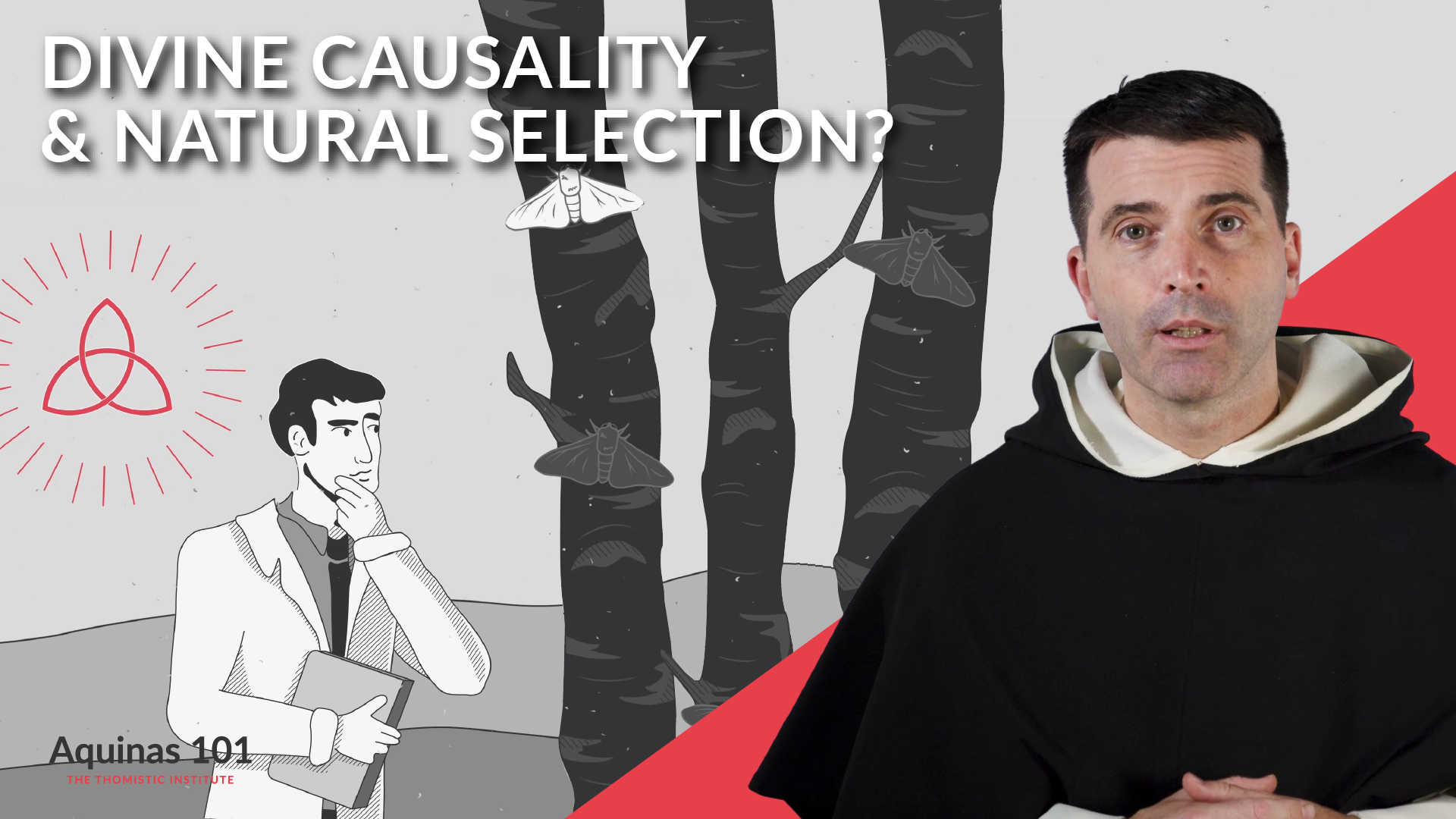 Primary And Secondary Causality Aquinas And Indeterminacy Aquinas 101