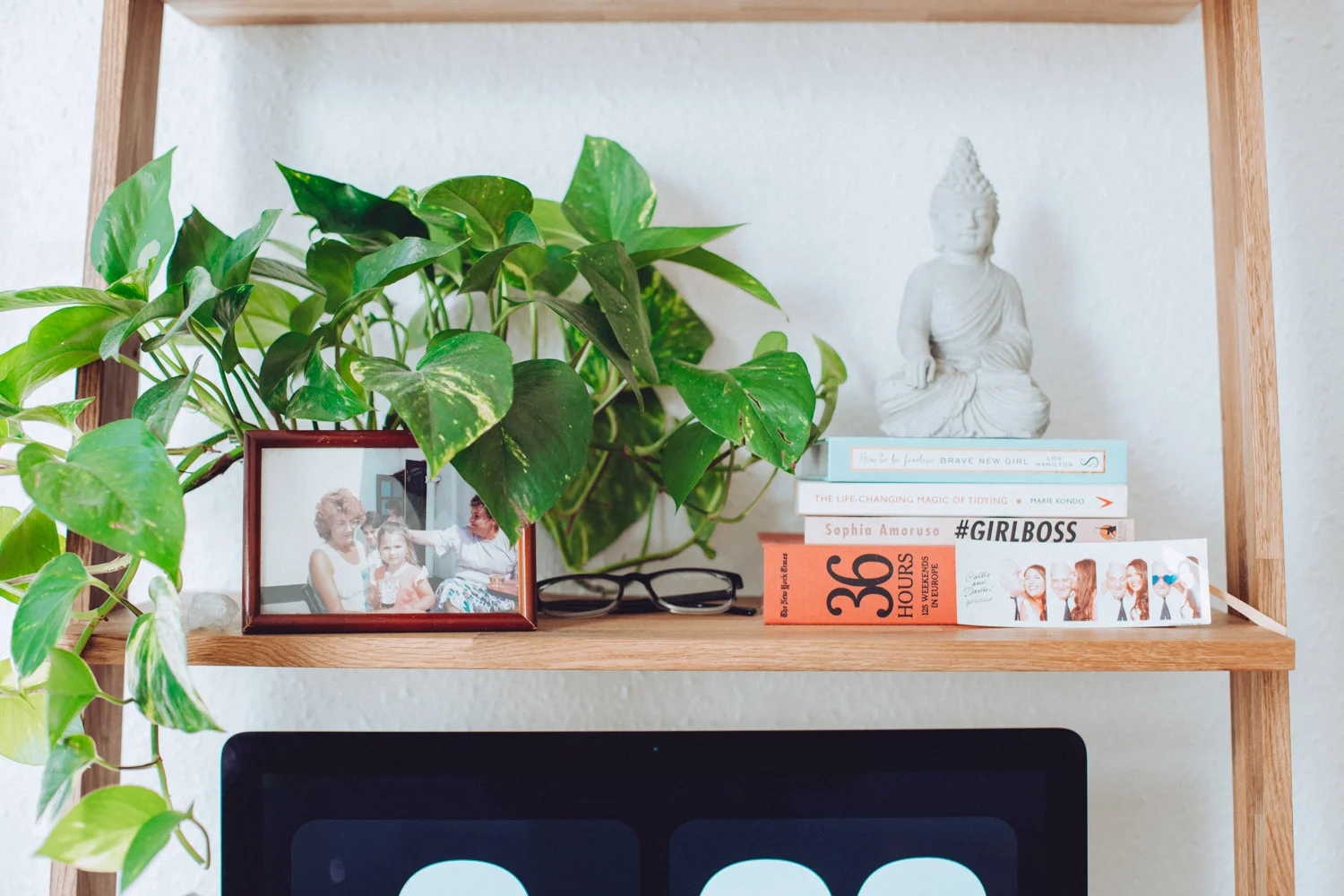 hanging house plants for ladder desk