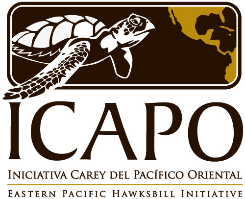 ICAPO_500wide_color.png