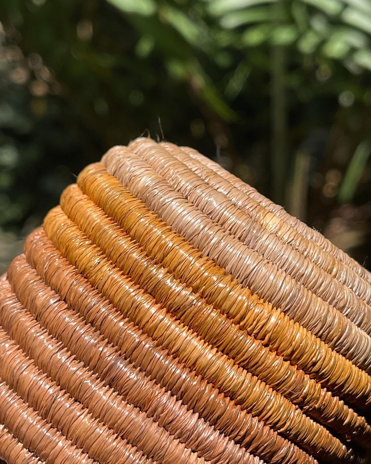 I&rsquo;ve taken a few close up photos to show the intricacy of the weave on this basket. You can see that every single point is a stitch, so you can imagine the days and hours it takes to weave. My skills in finer coiled basketry is testimony to the