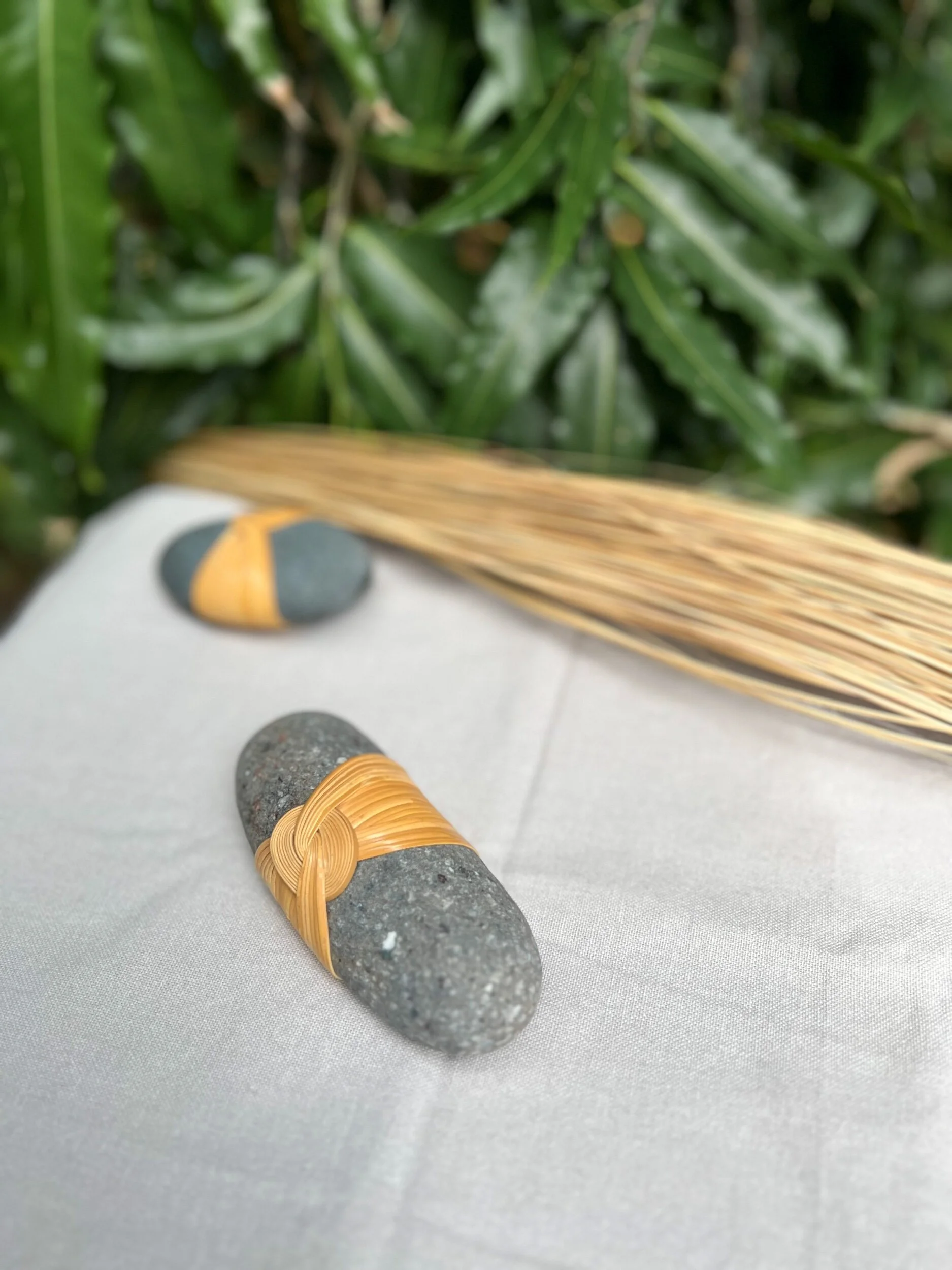 41C7682D-3FFB-4C1E-AE9C-A6F5C97072D7