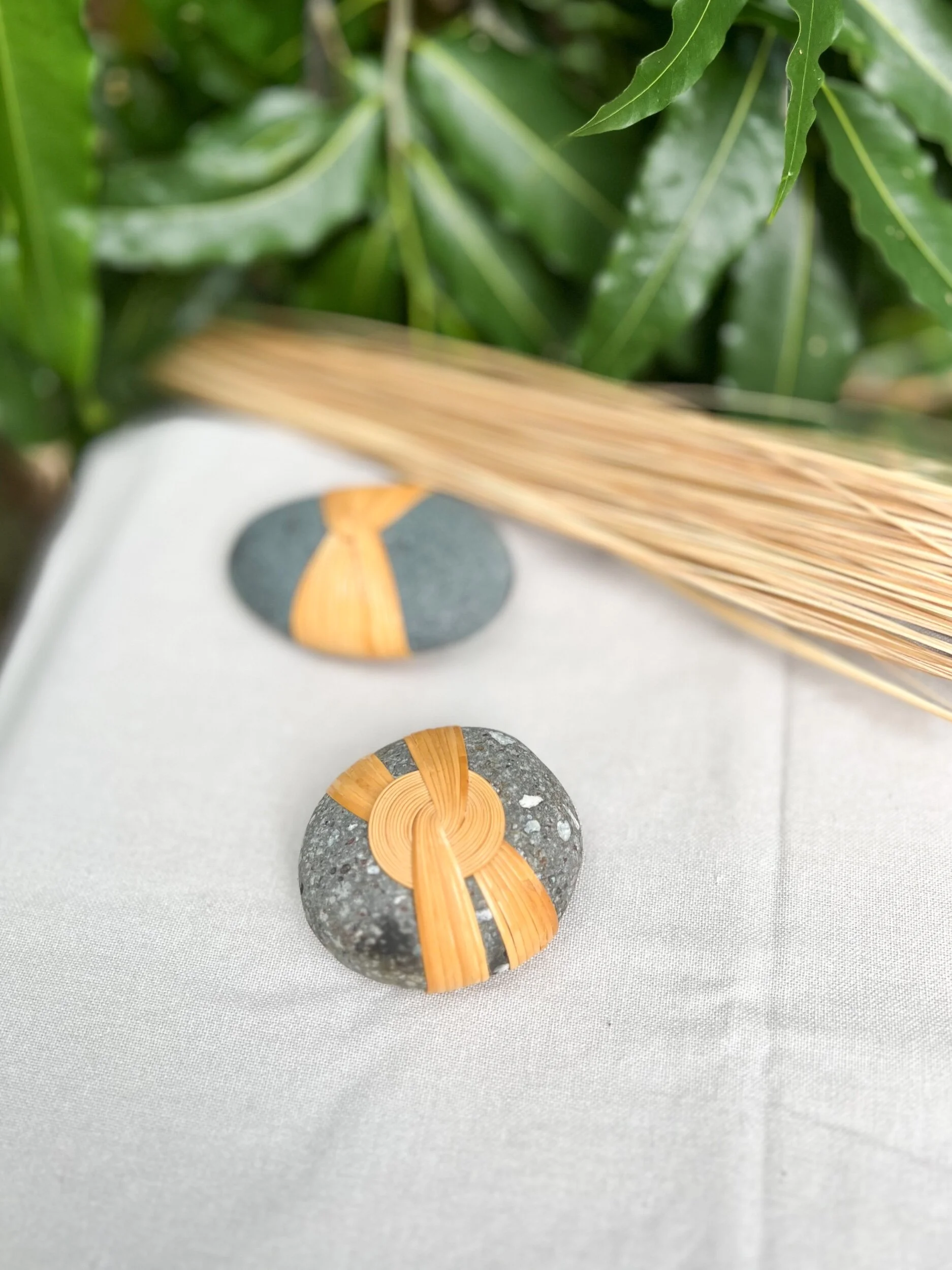 D6104E97-A907-4D80-BBC5-85FB5973A933