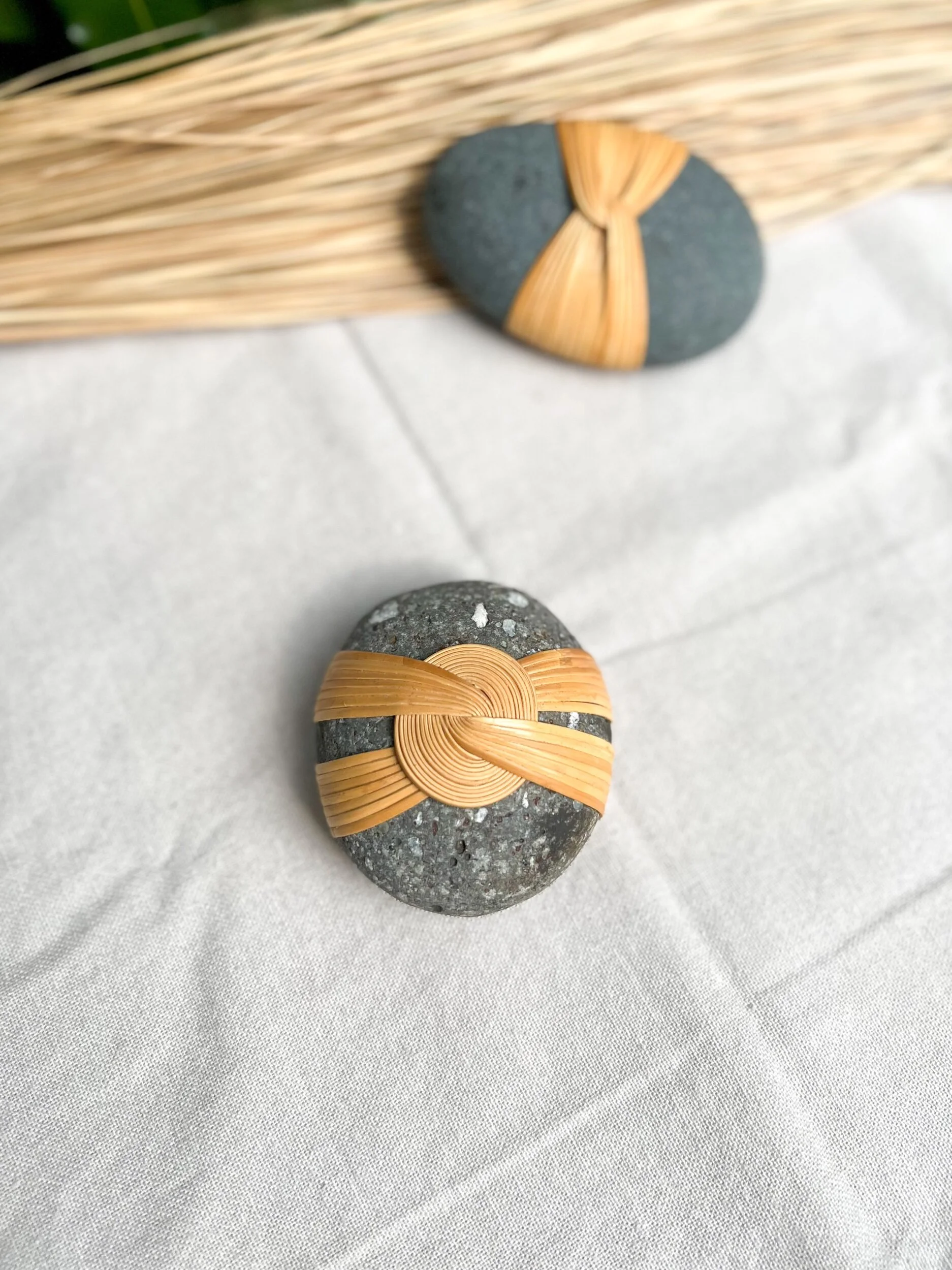 069FED68-A84C-443E-90F0-EE4BFB37D89D