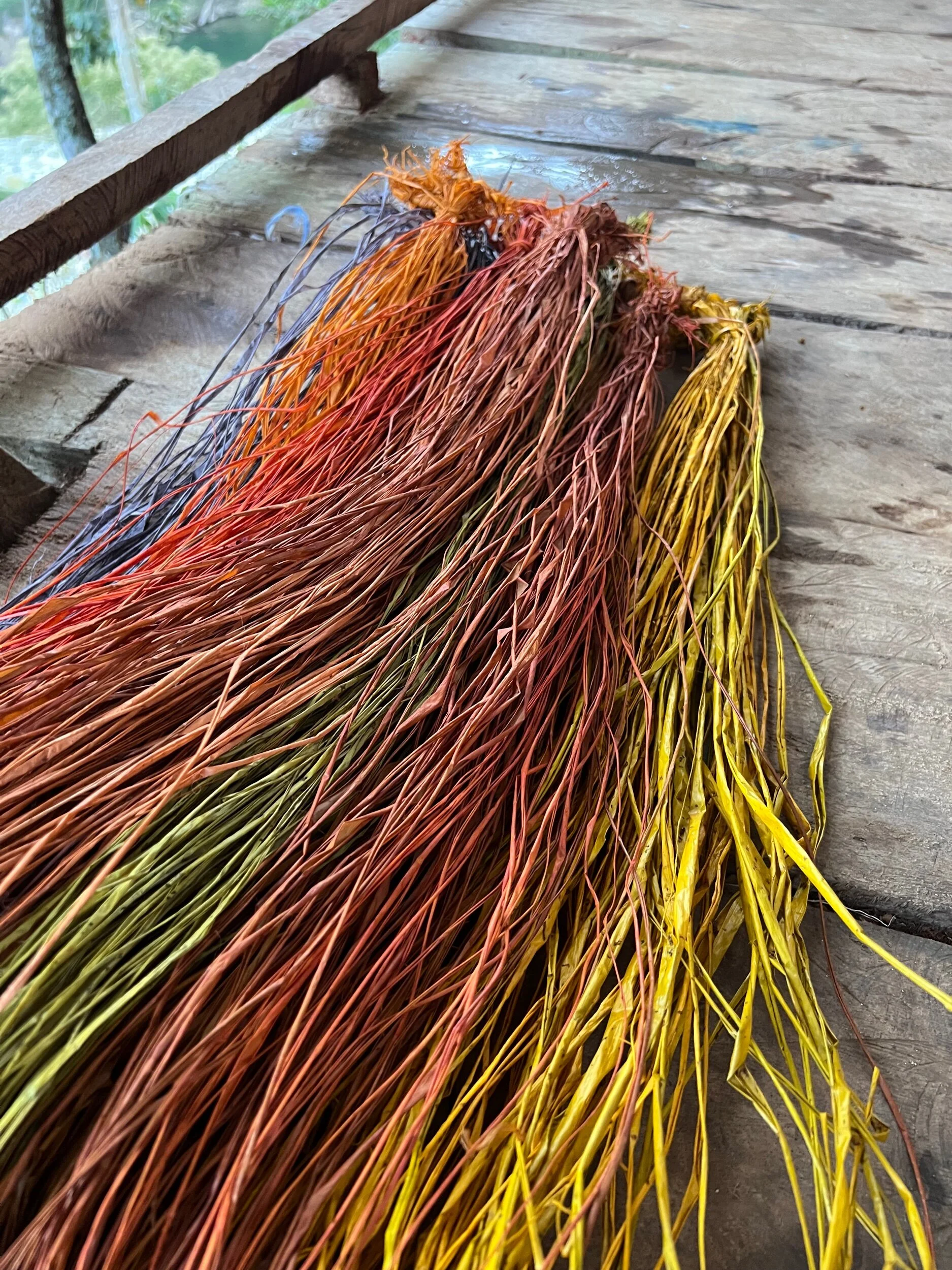 0044EDEC-9AF9-4D6E-AF79-AA5C0B13811F