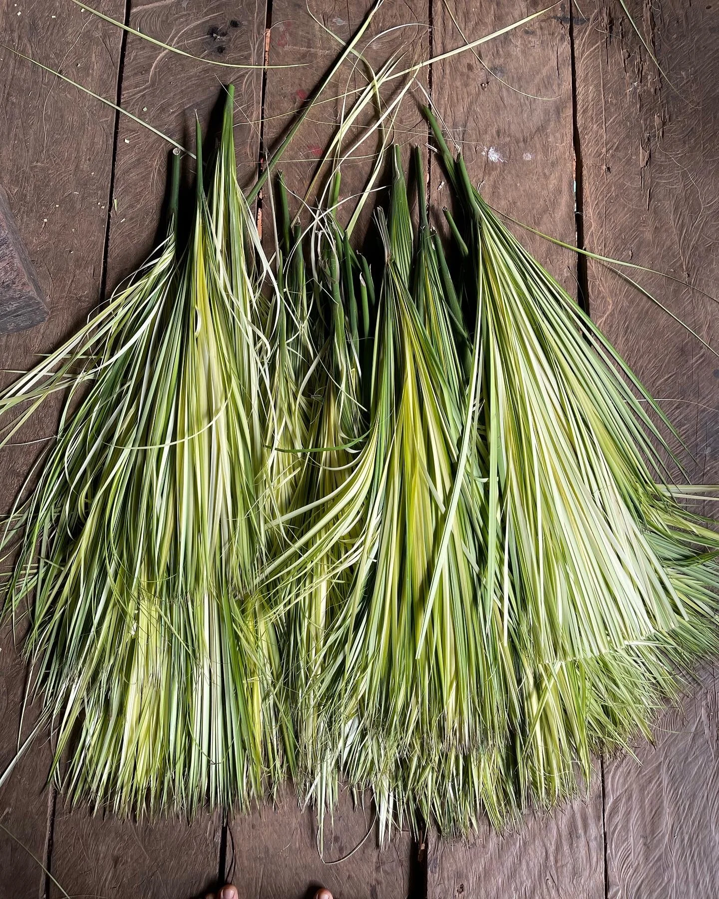 82082521-20AF-4585-8C07-0DEE961FD6BC