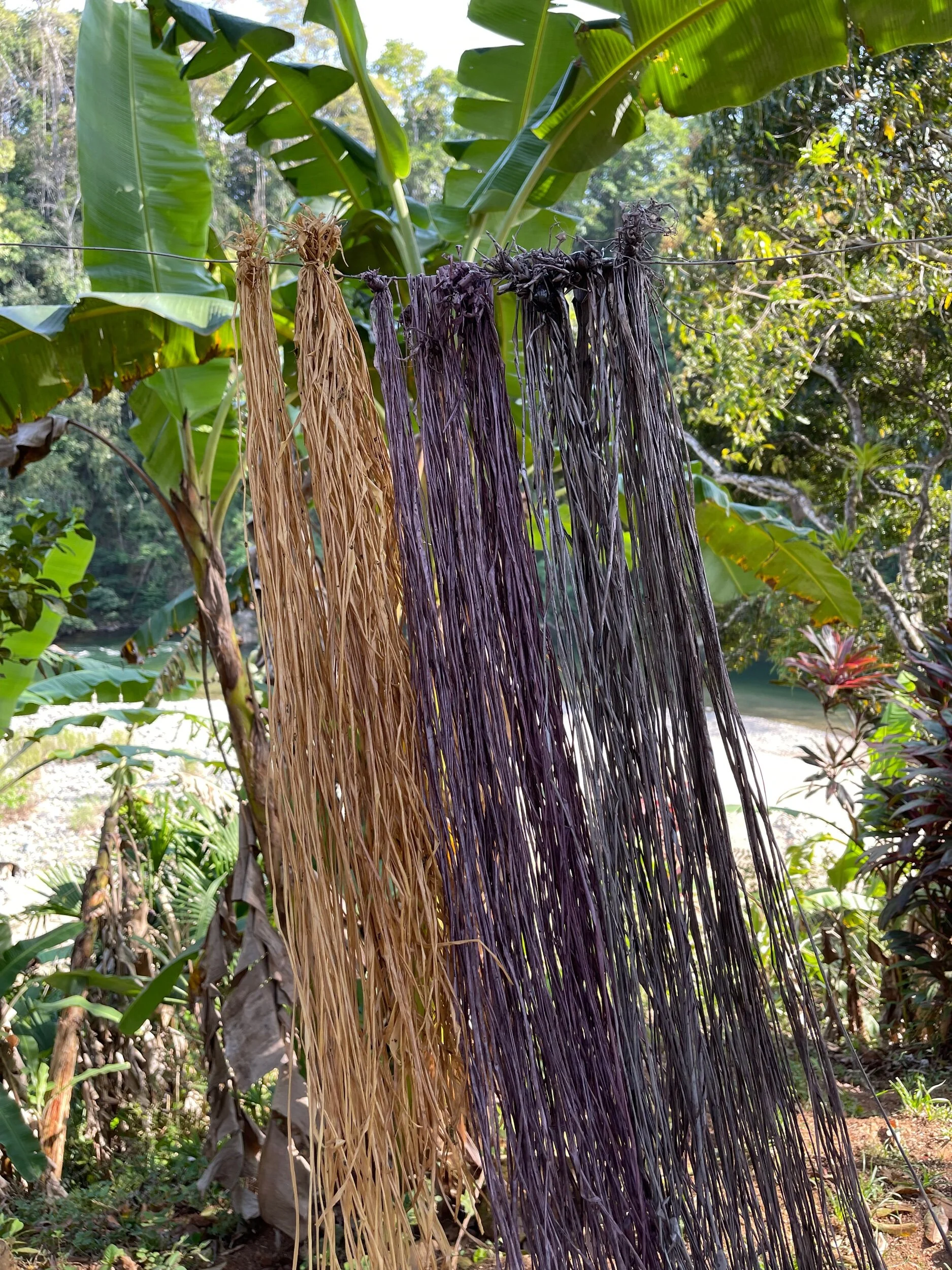 3420DEFD-E6DE-428A-8D83-23E6400FBD30