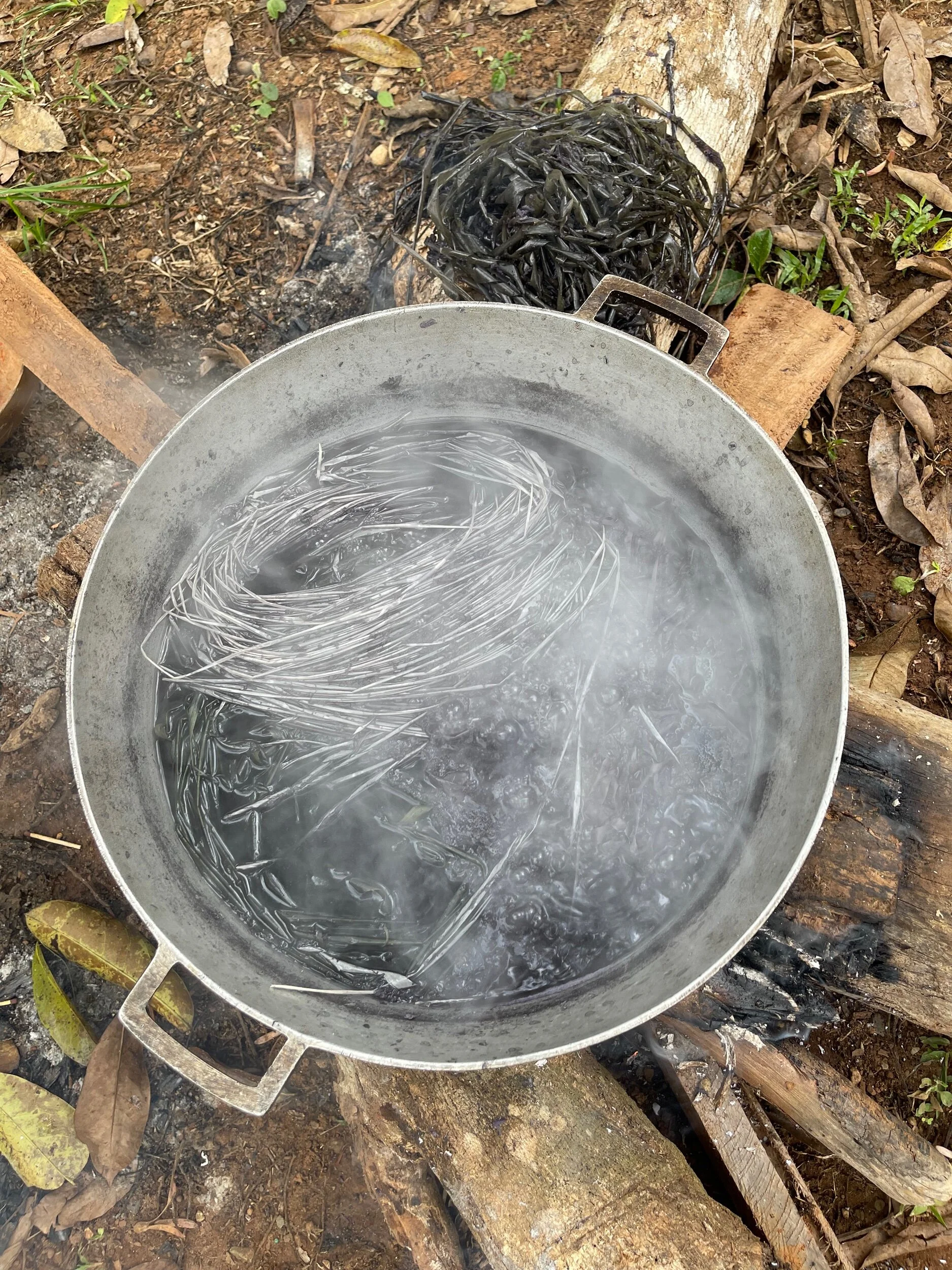 CFC7EE3B-401B-49E3-88E3-CDAE2464C255