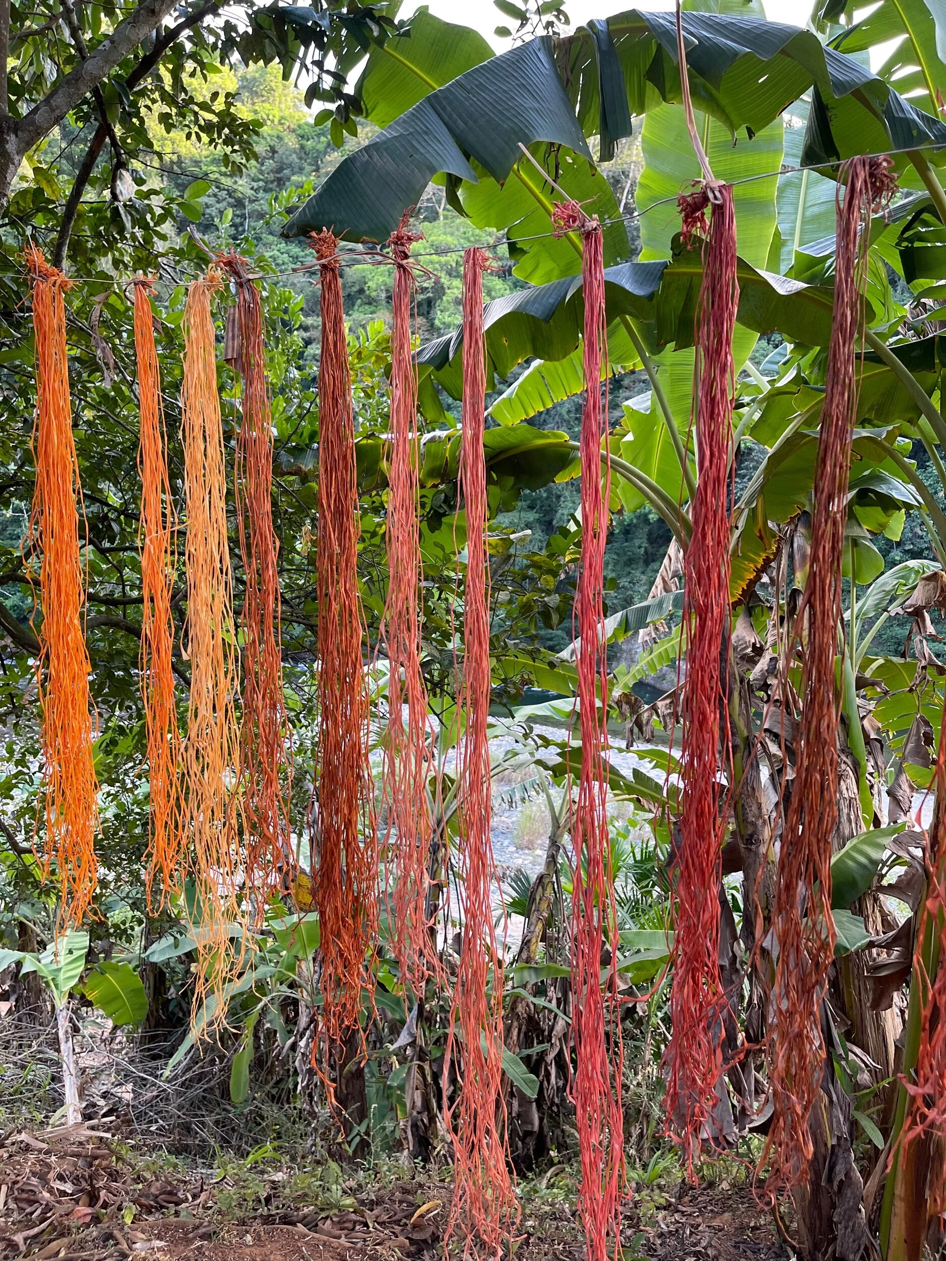 082D5887-D165-4D6B-8ABA-CBC053C82D9C