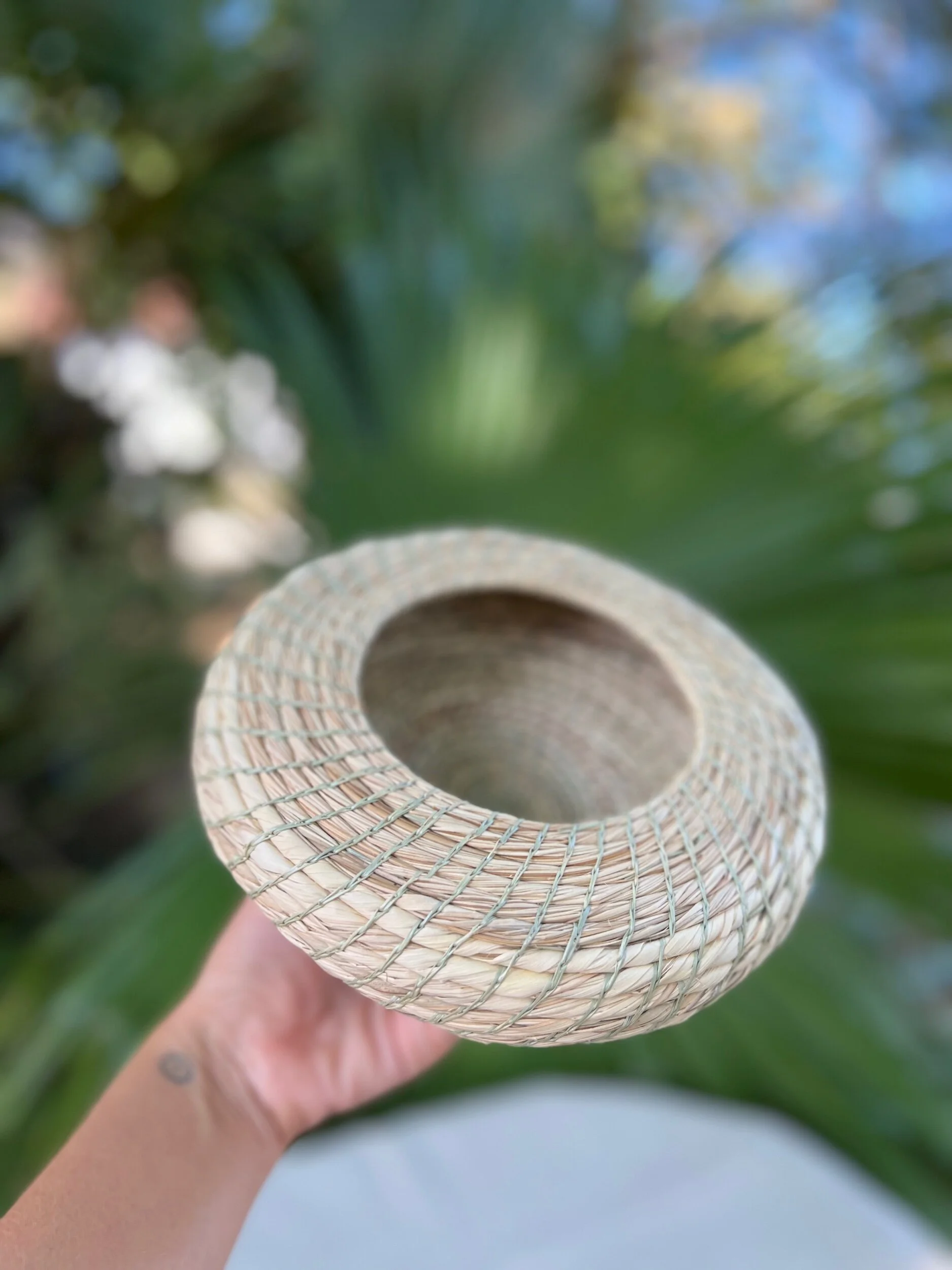 03E47EA5-407C-44CB-94D6-8FFD2B7E5457