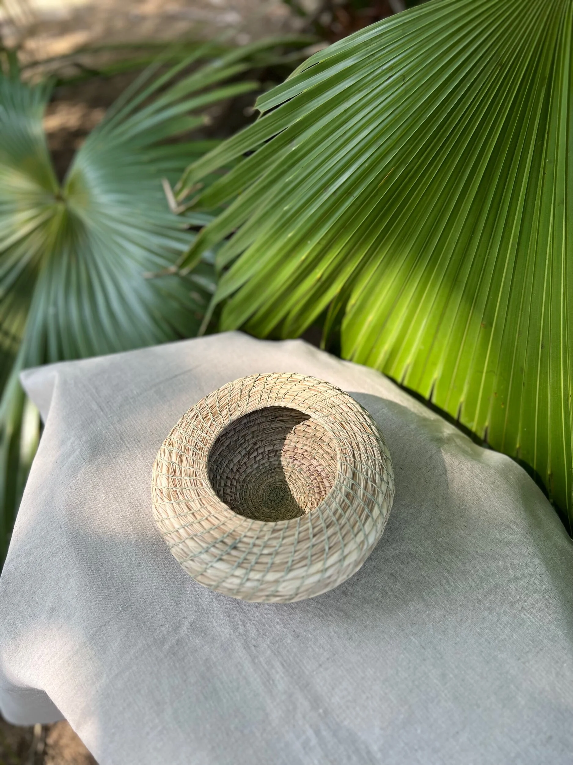 78CB4E43-FDA5-434E-9359-70DF923E0440