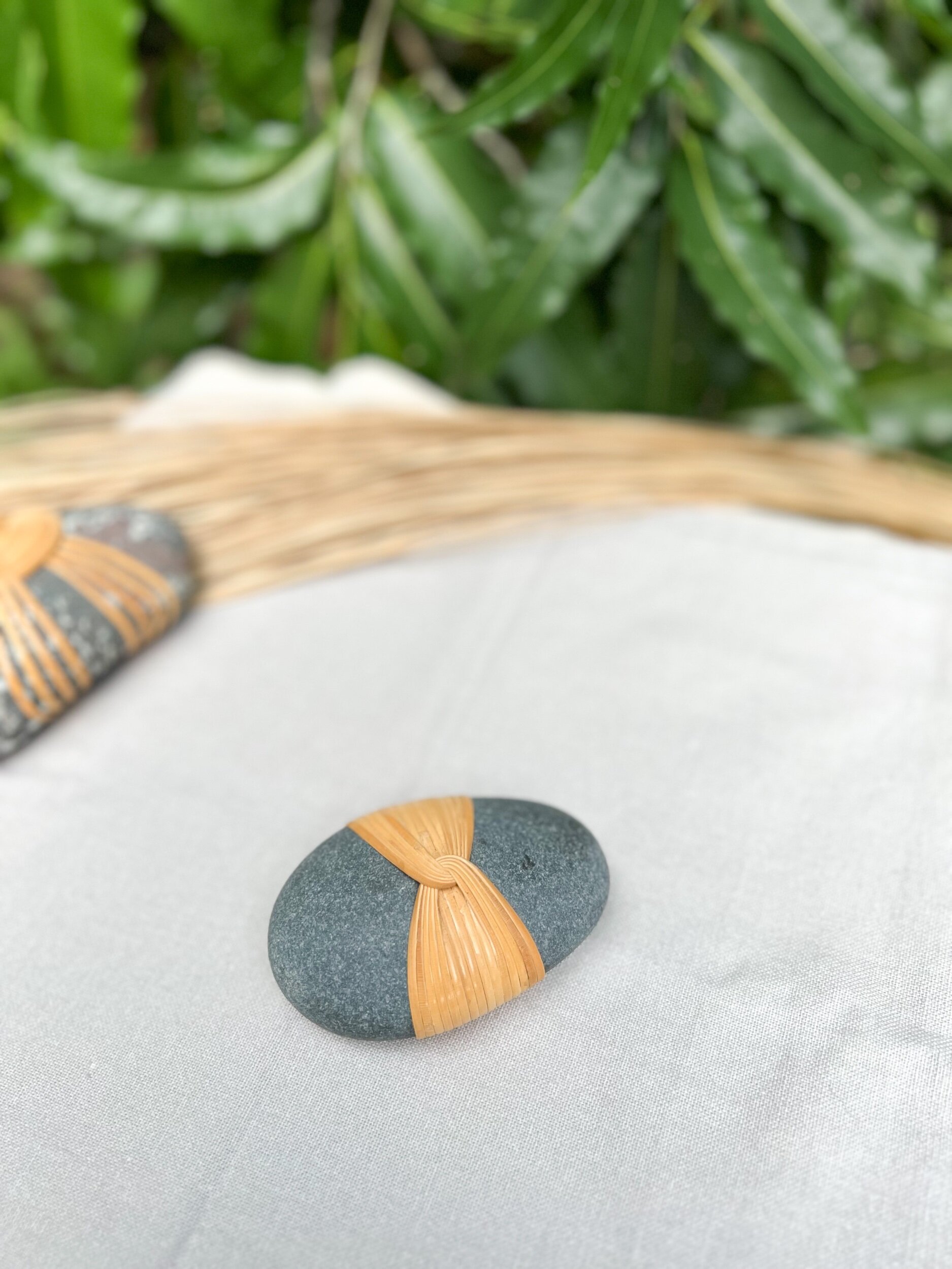 A6A1D9B7-8486-44D7-8C2F-26FAA797379F