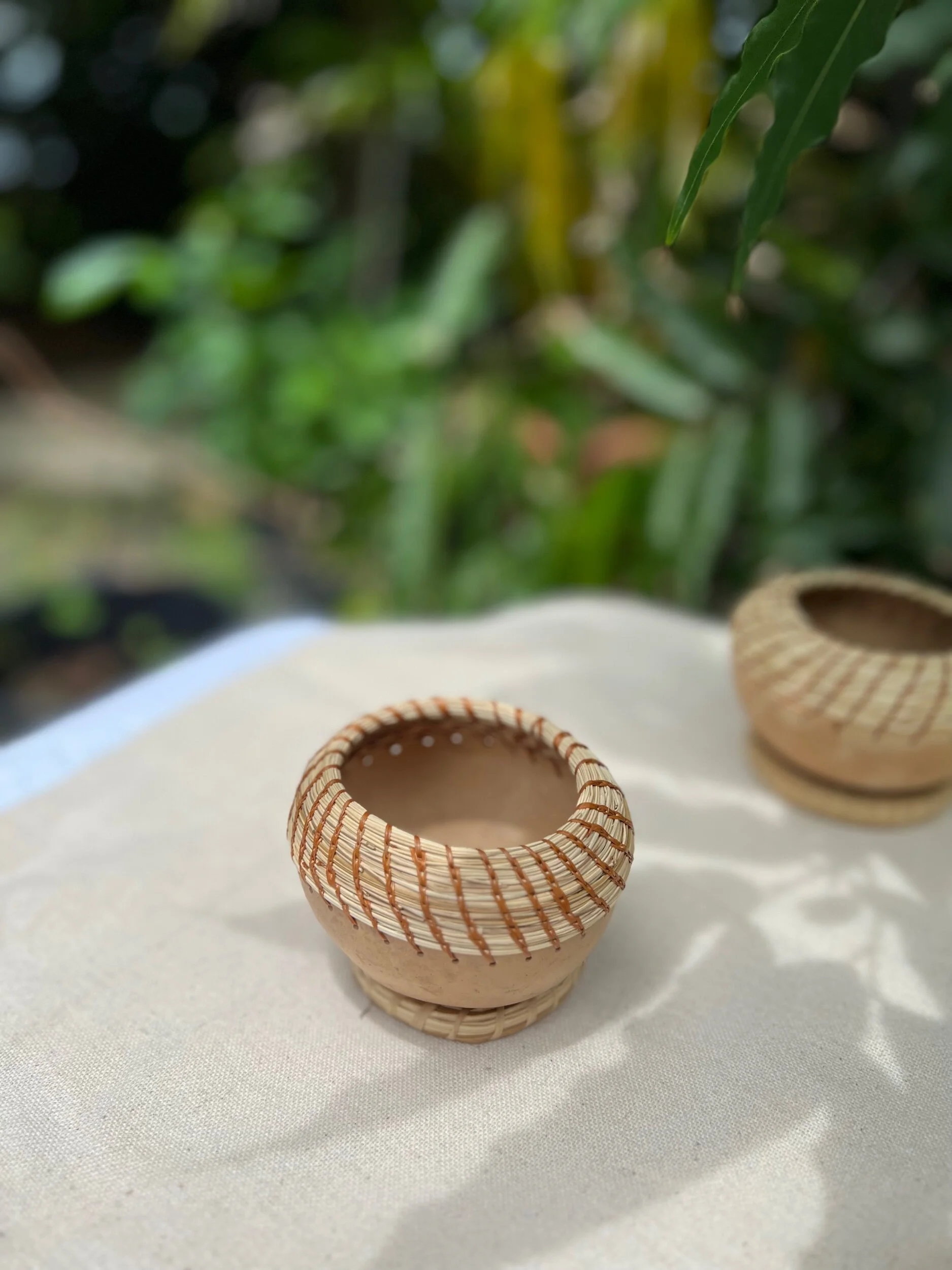 17149F48-69CD-452B-82B9-3321545B5C99