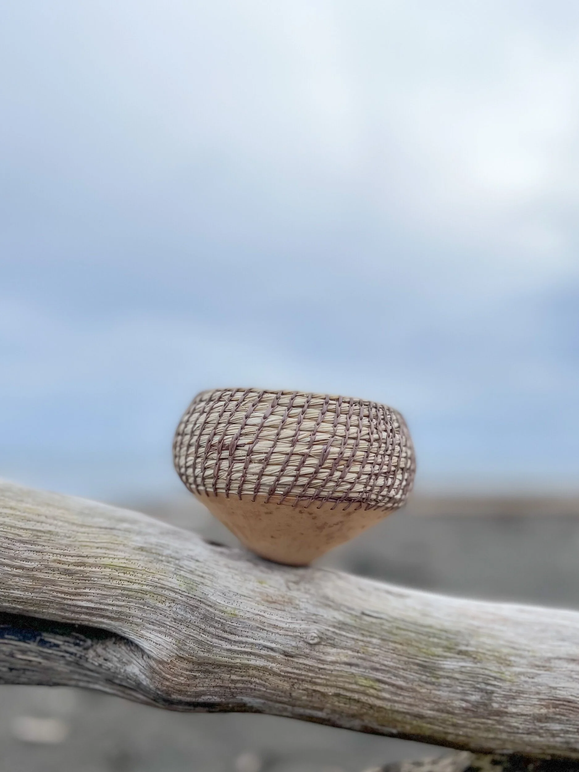 8A10443B-B24F-4C51-9B14-E1D016D55F5E