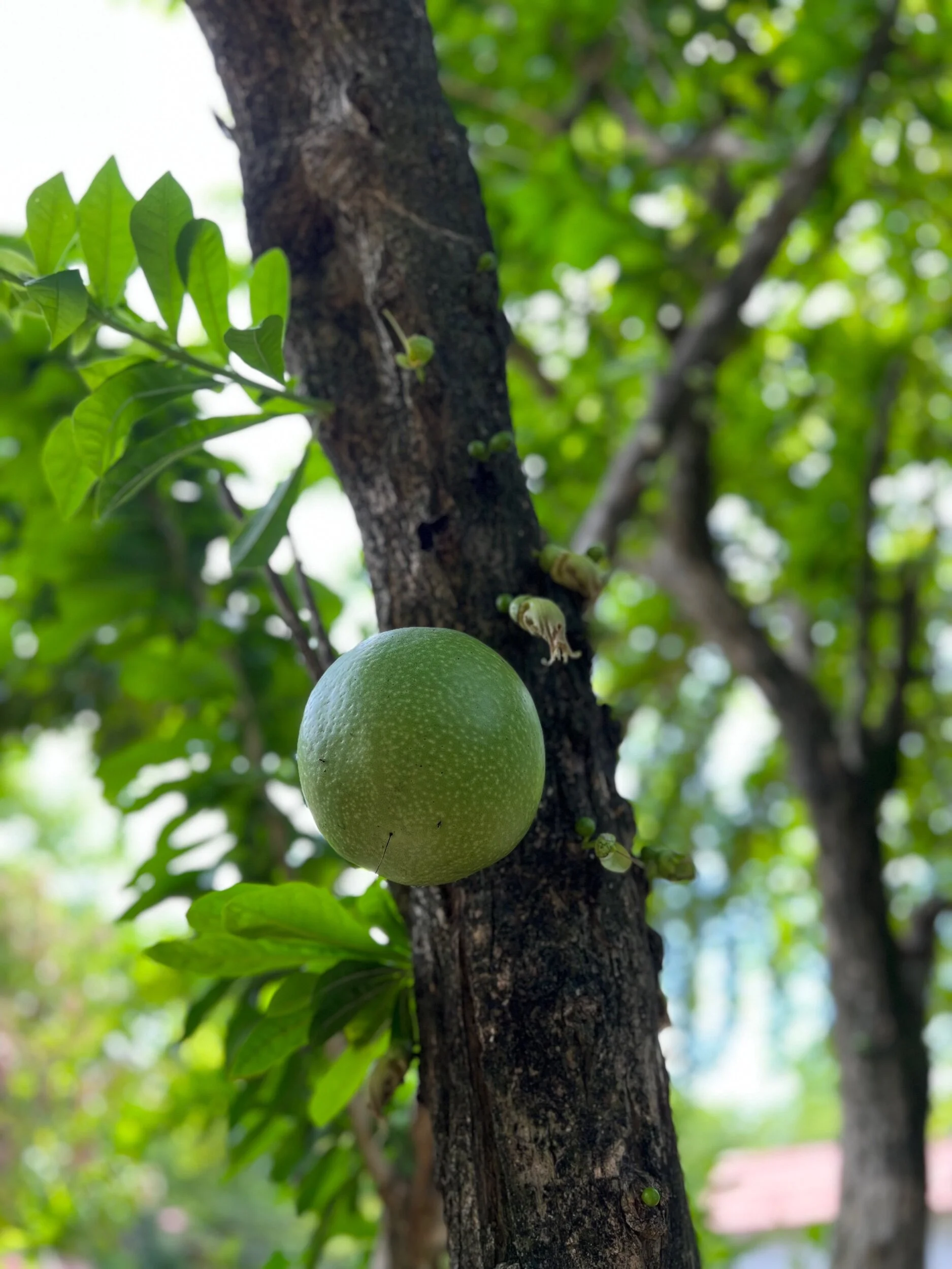 038B2224-3D4B-444E-8FF8-F634C9AA0E16