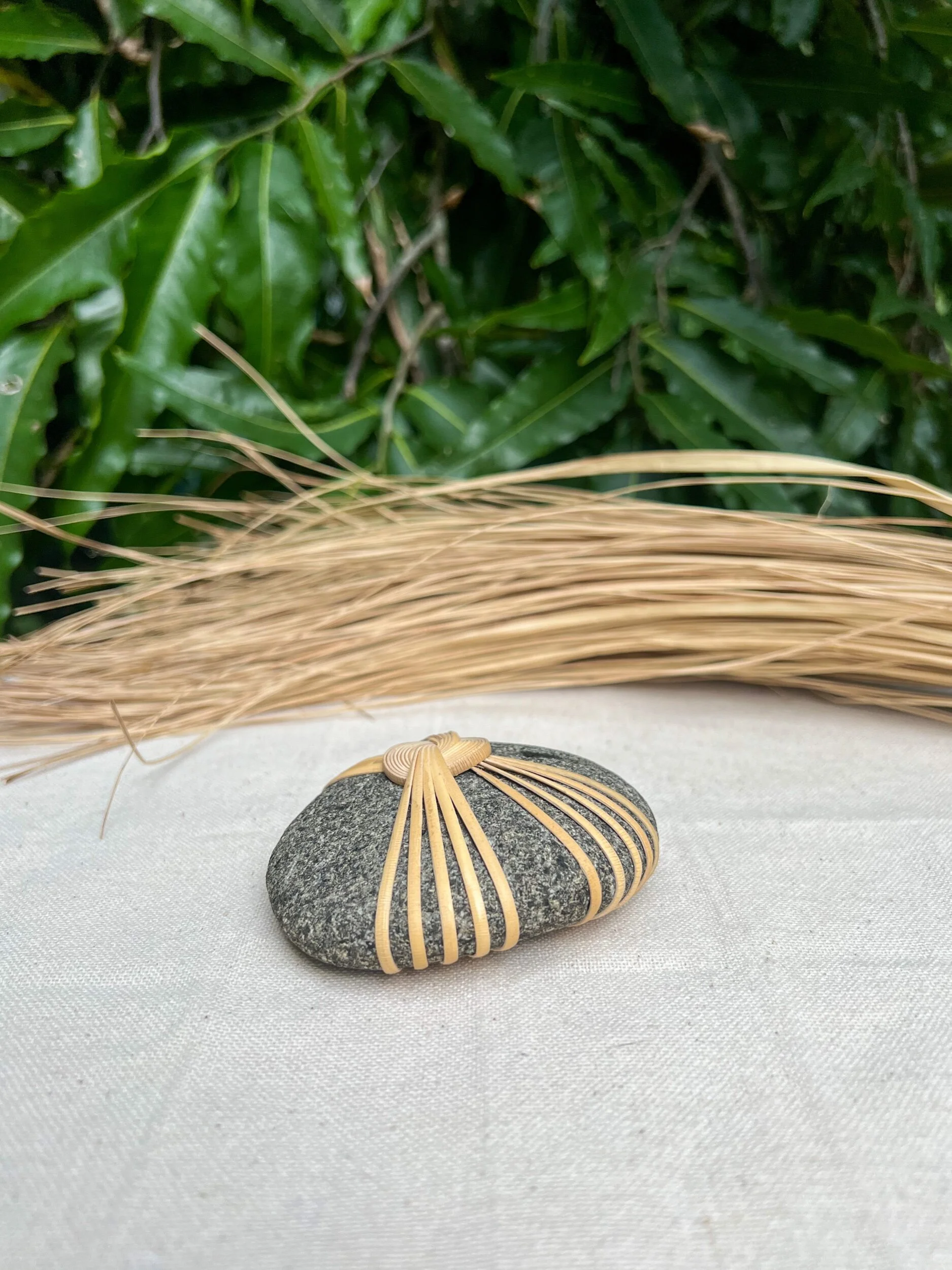 09B7828A-BF36-4227-9B06-909A72E8EC44