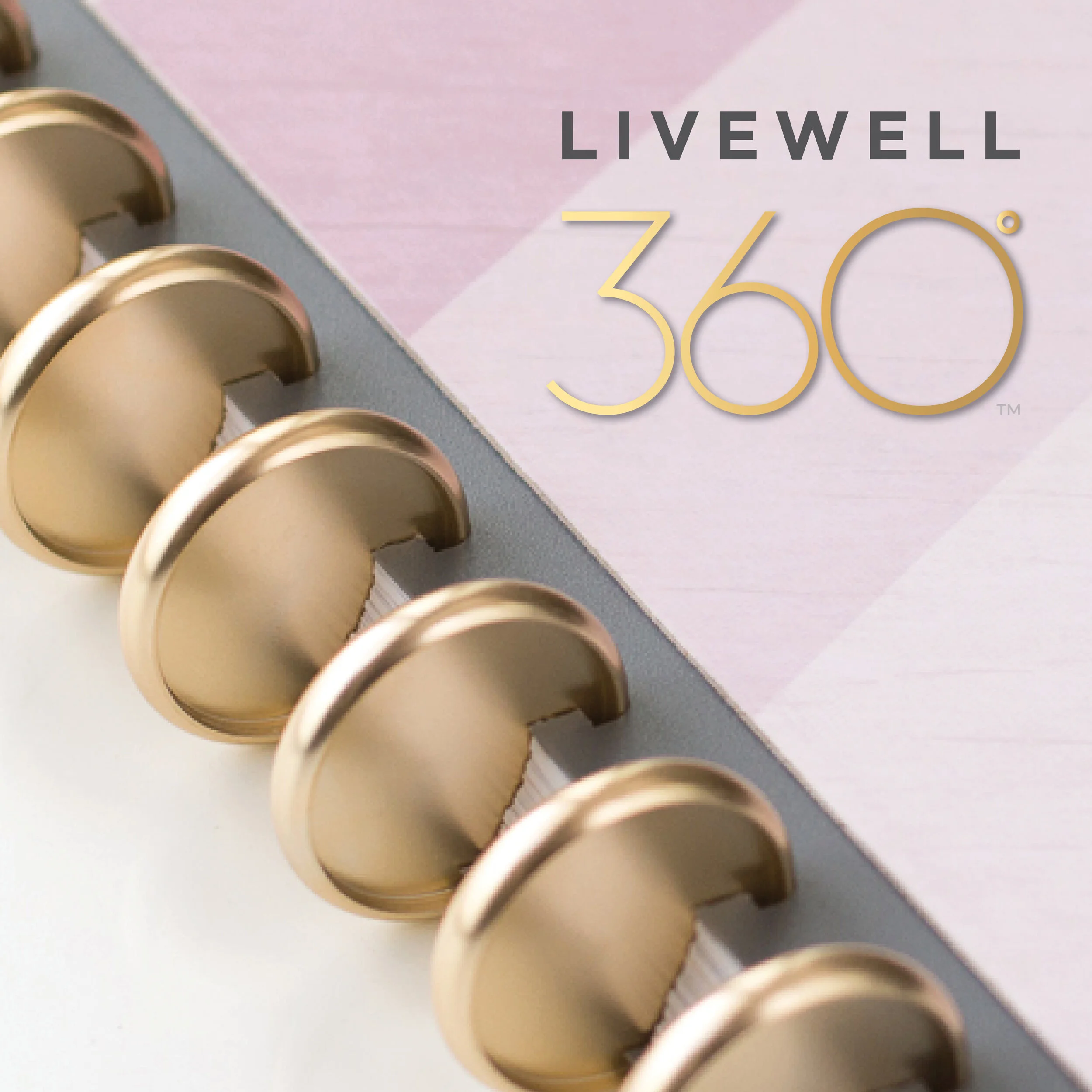 Boost Productivity with the 2019 Disc Planning System inkWELL Press