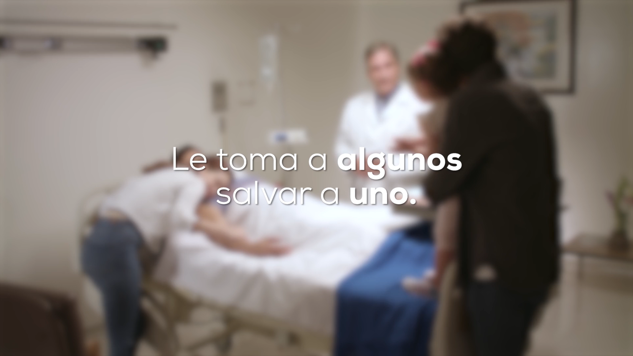 Diapositiva 12