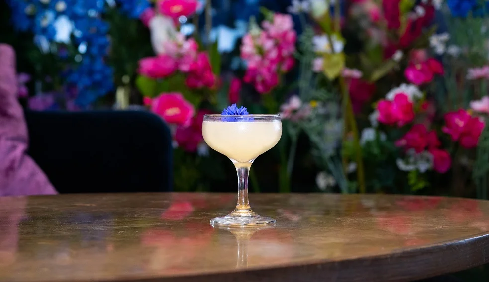 HUMDINGER : Bombay Sapphire Gin, St-Germain Liqueur, Lemon Juice and Honey Syrup