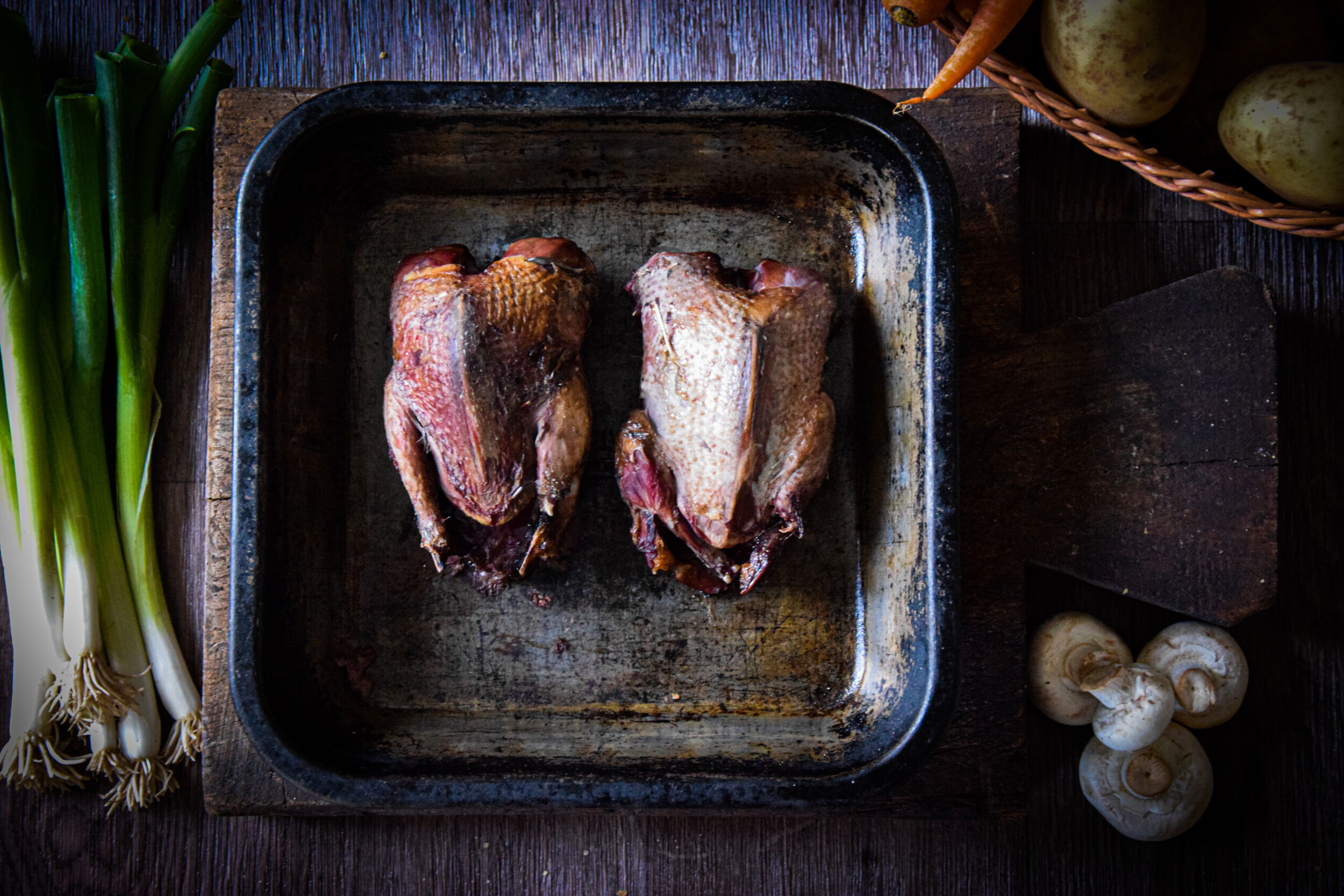 WOOD PIGEON