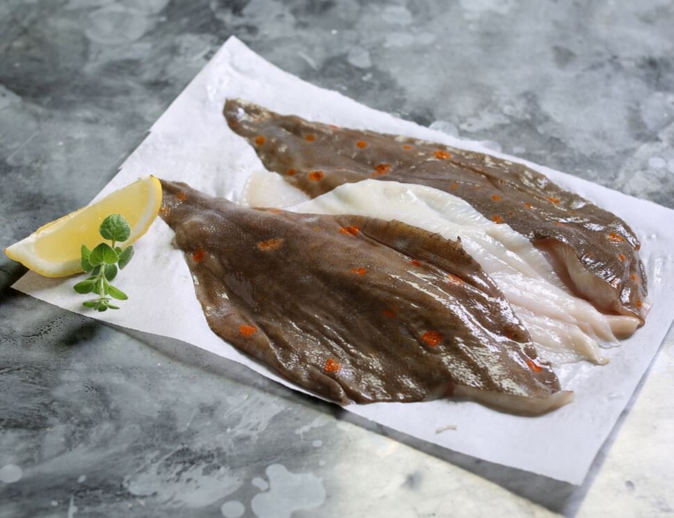 PLAICE