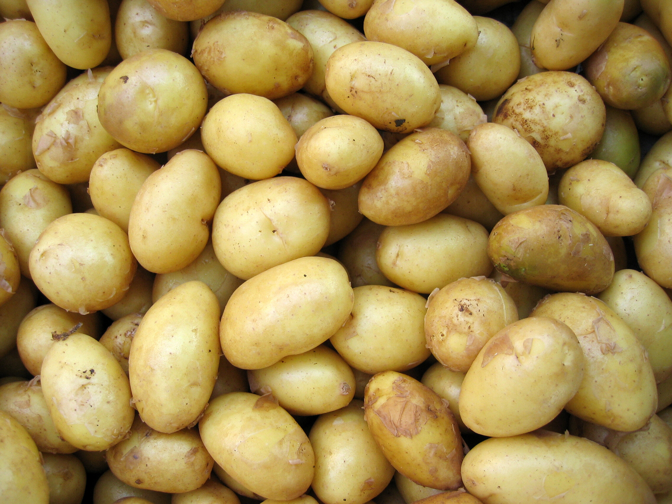 NEW POTATOES