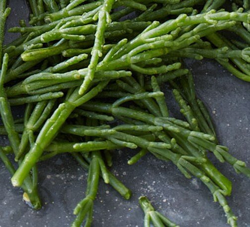 SAMPHIRE