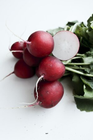 RADISH