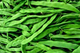 RUNNER BEANS