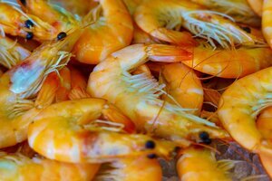 PRAWNS