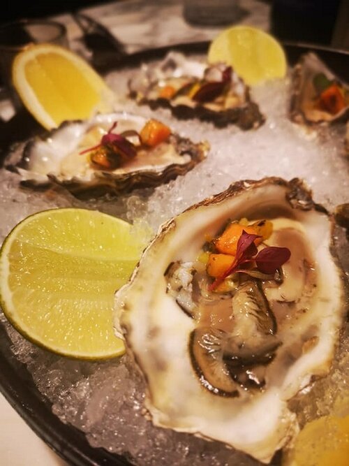 Oysters