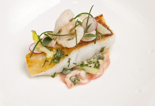 TURBOT