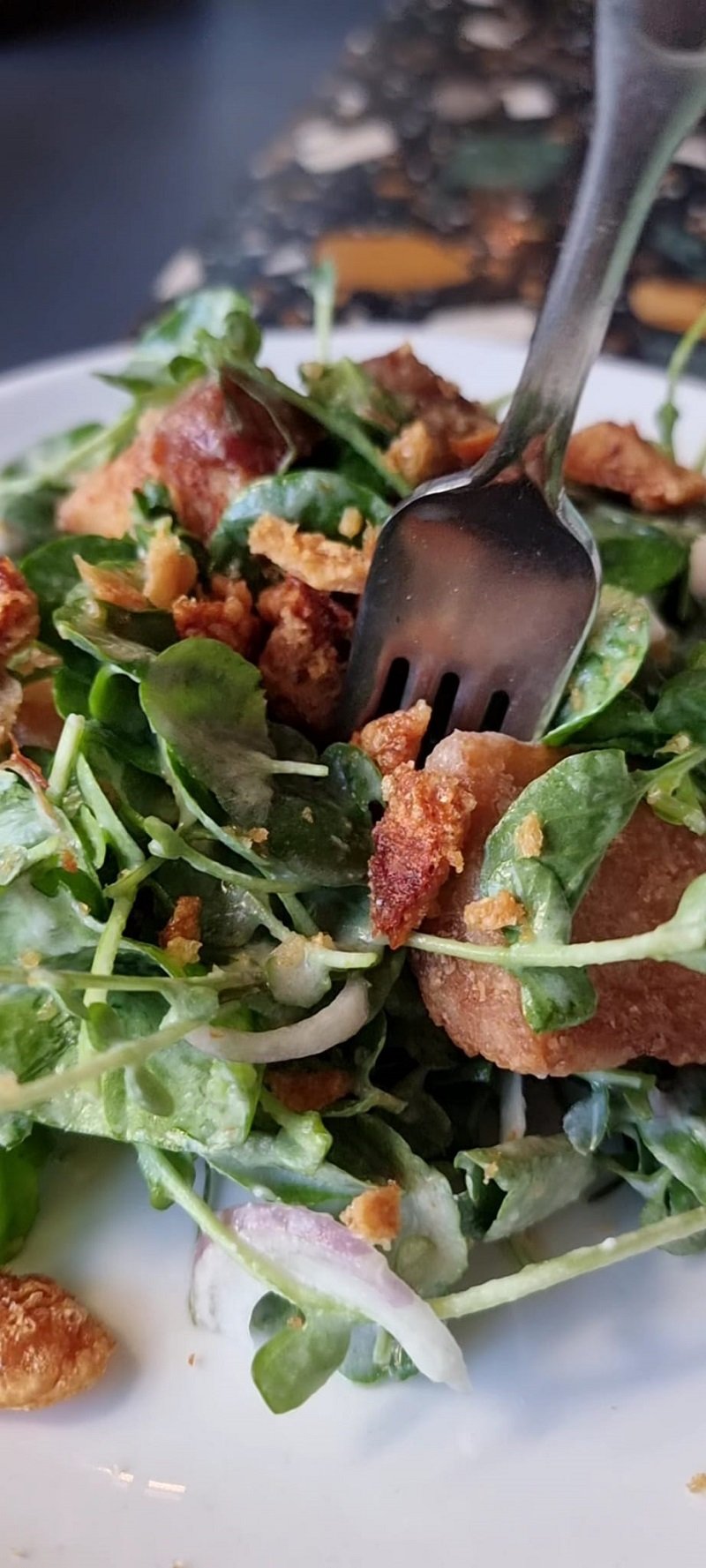 kapao pork salad 3.jpg