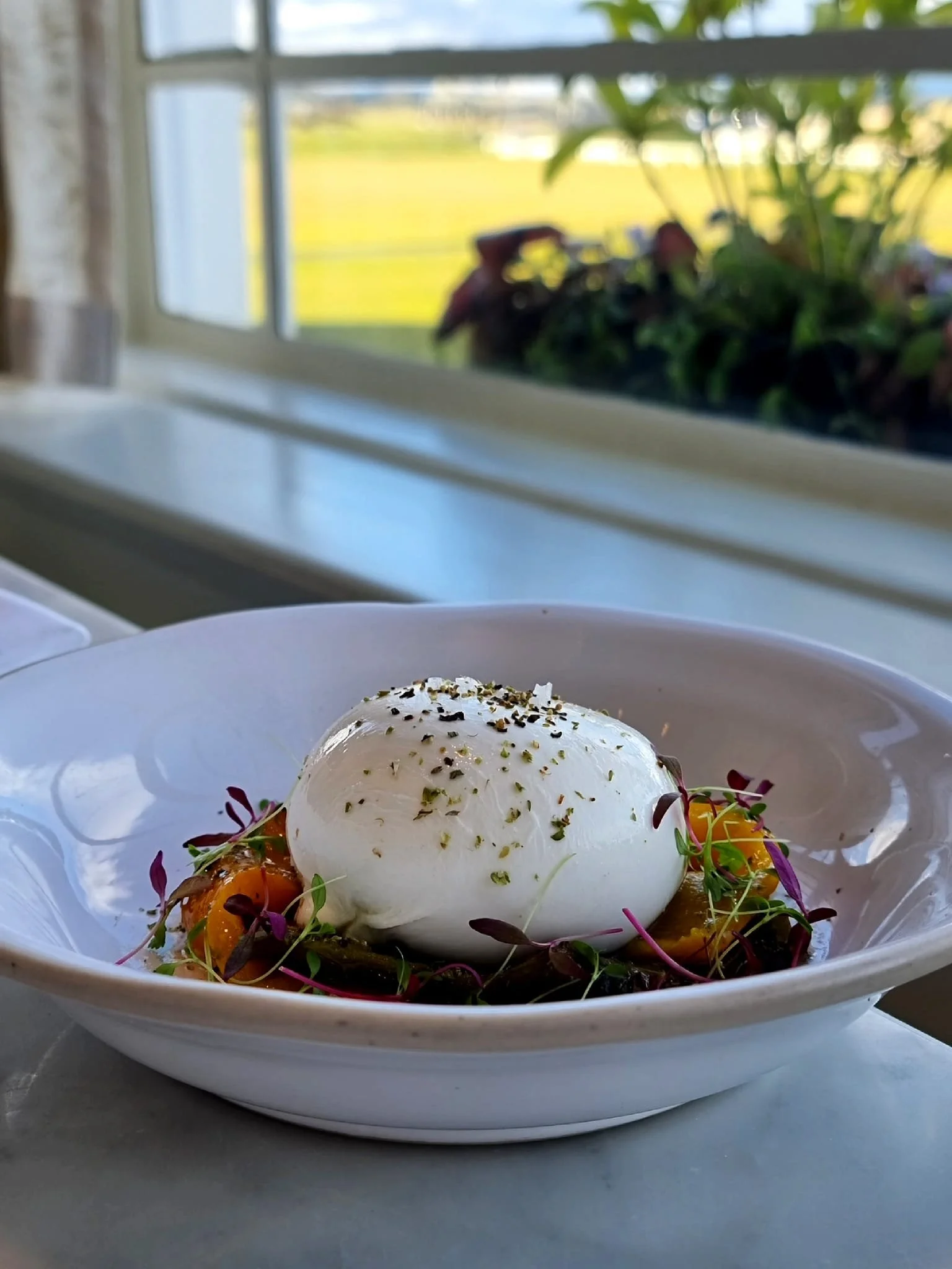 bridge burrata.jpg