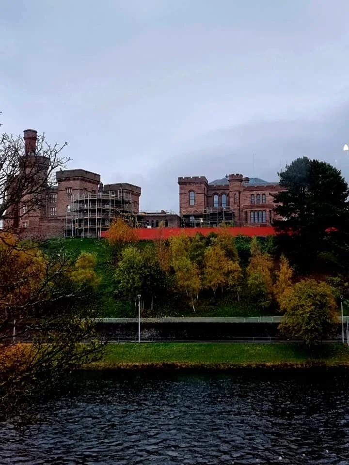 palace view.jpg