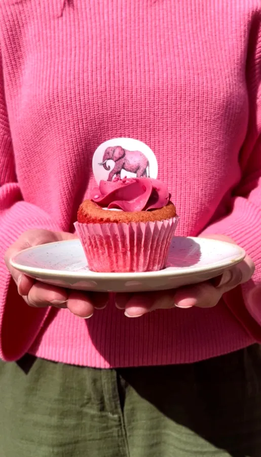 Restoration-Yard-X-Mimis-Bakehouse_Pink-Elephant-cupcake.png