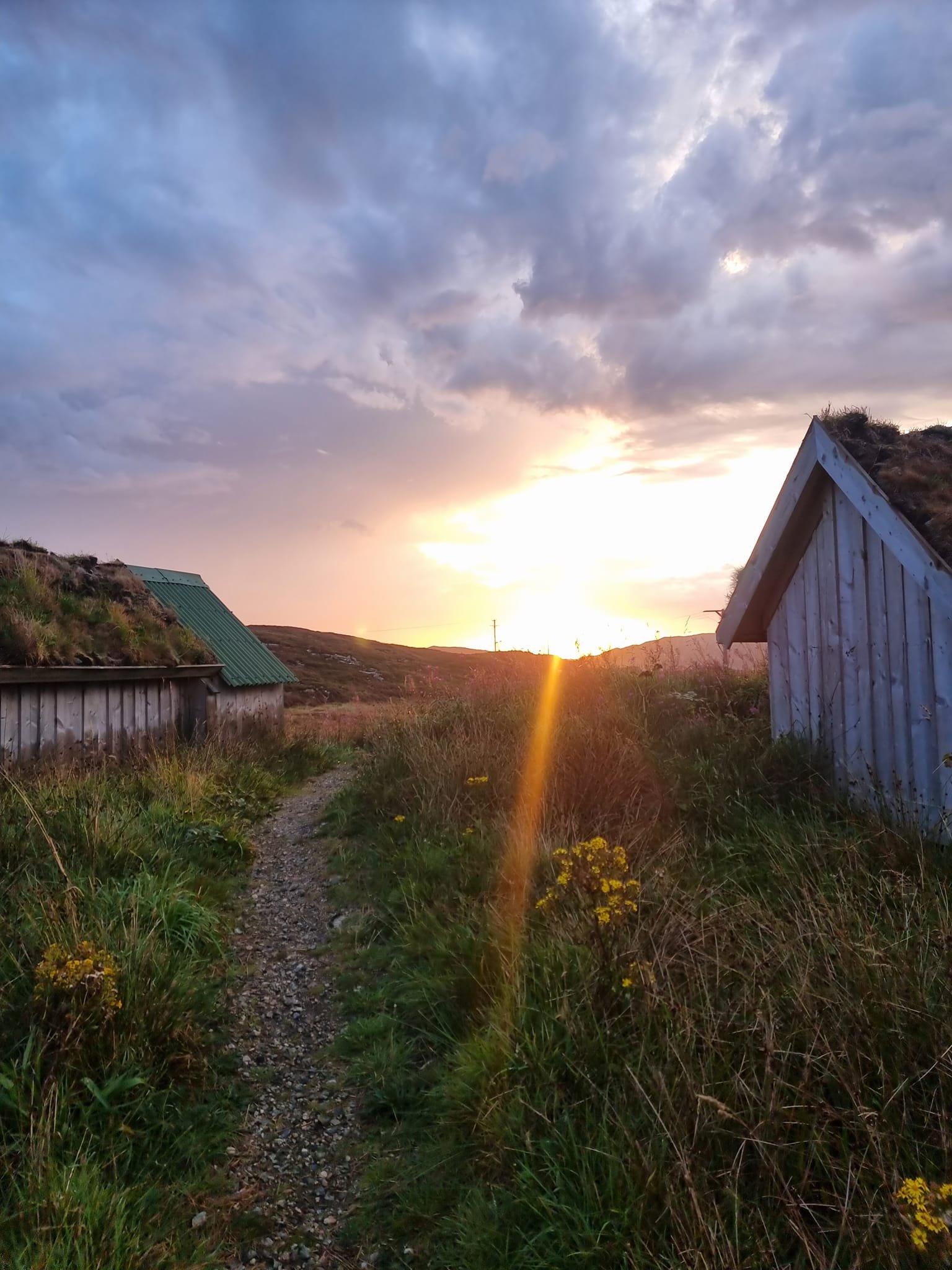 creel yard sunrise.jpg