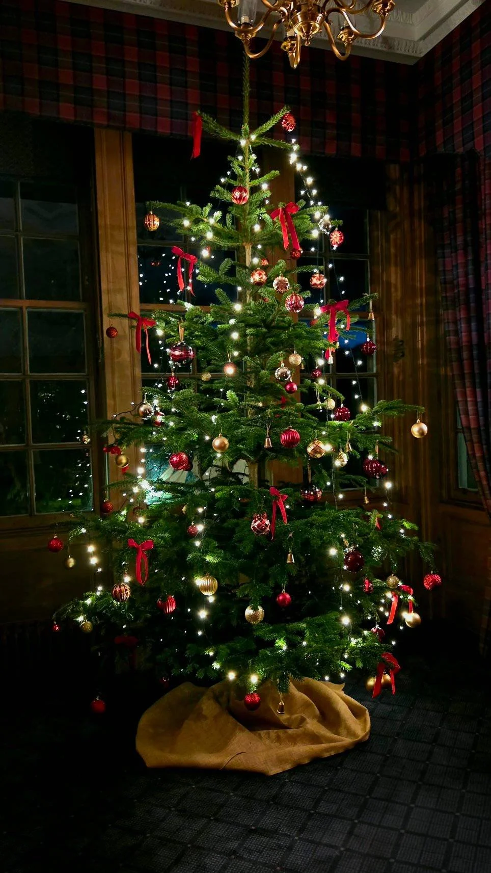 walkers christmas tree.jpg