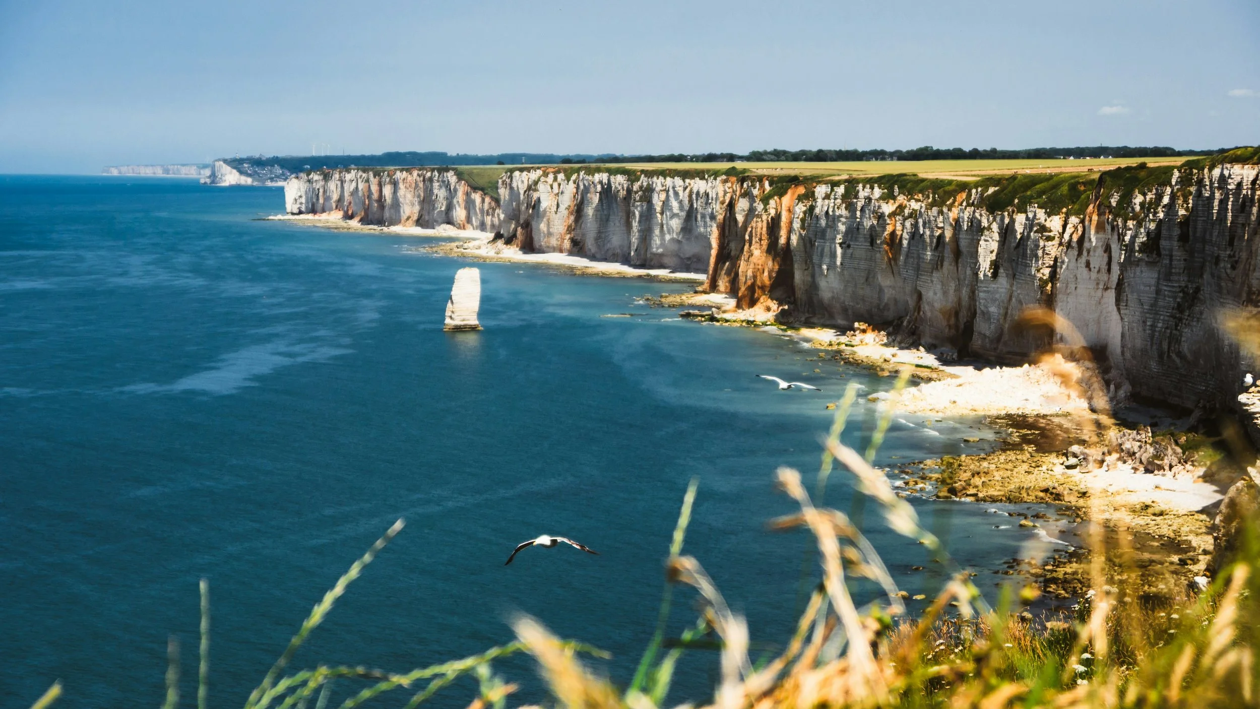 https://unsplash.com/photos/cliffs-overlook-the-ocean-on-a-sunny-day-GUD1OJuTkSM?utm_source=unsplash&amp;utm_medium=referral&amp;utm_content=creditShareLink