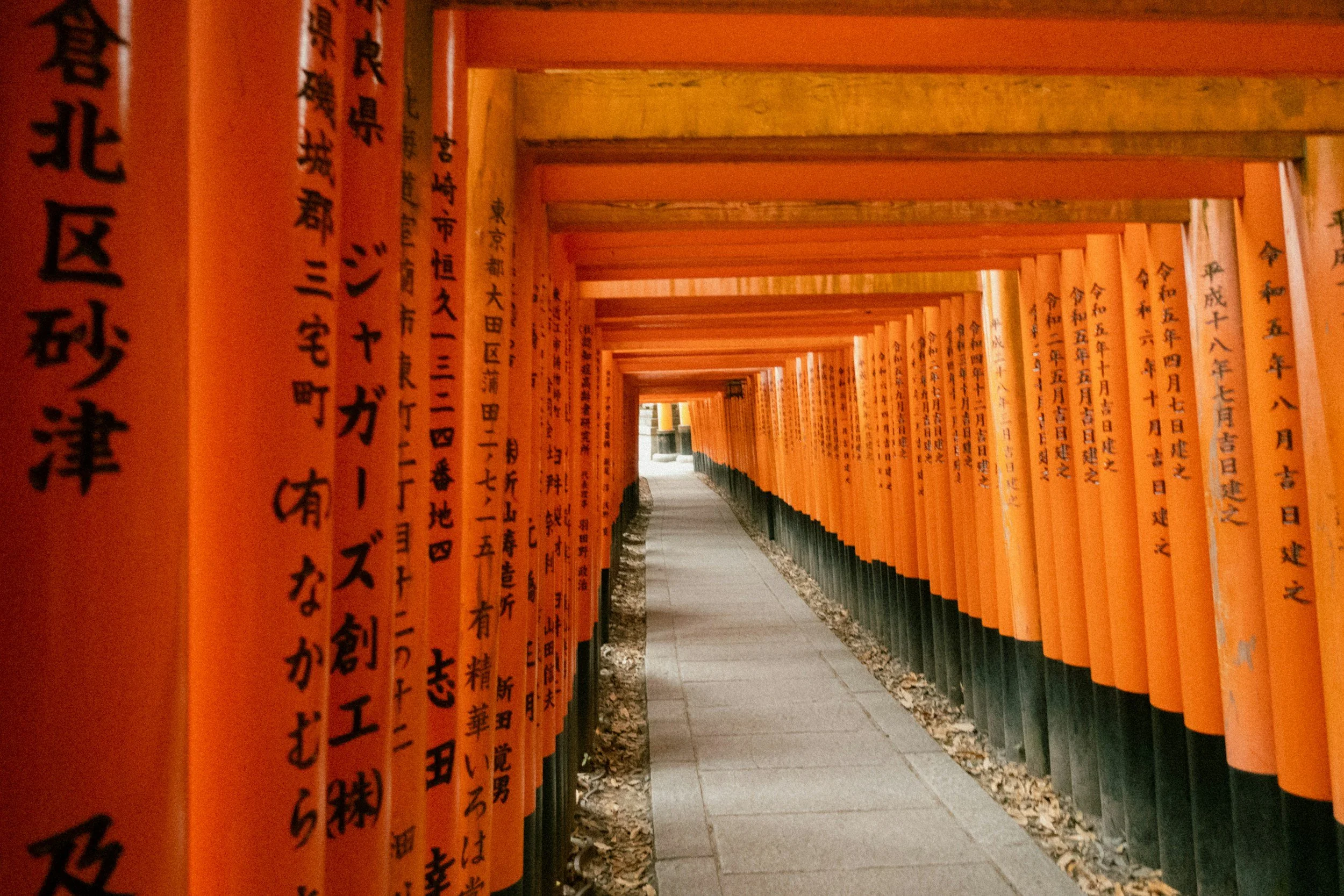  Rudityas W Anggoro @rudityas