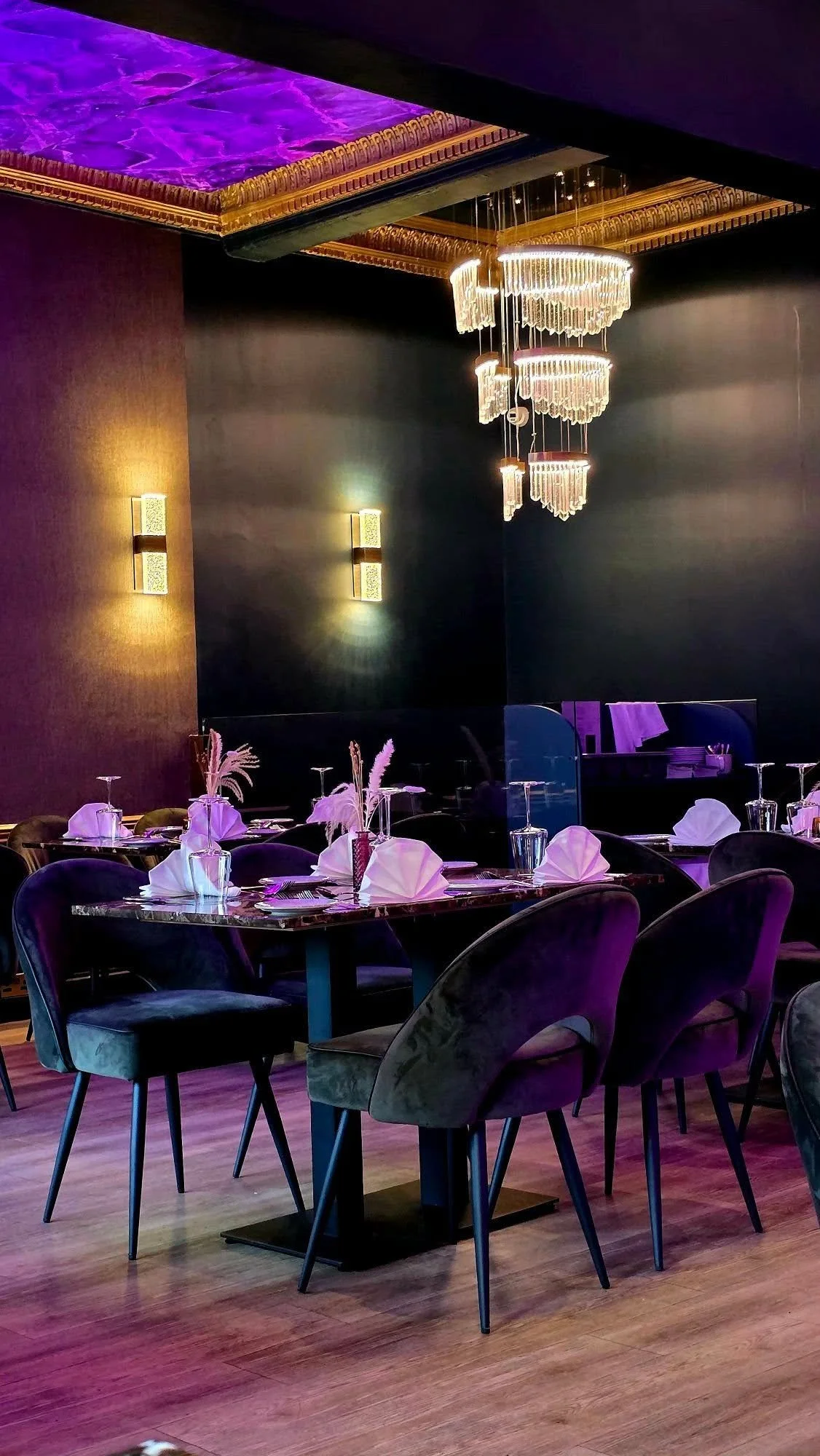 Celestia interior 2.jpg