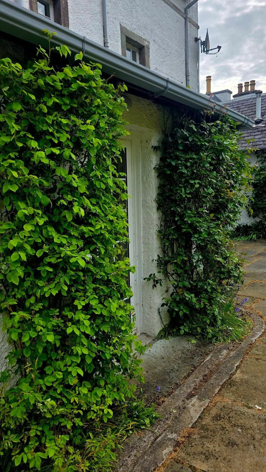 BH exterior 4.jpg