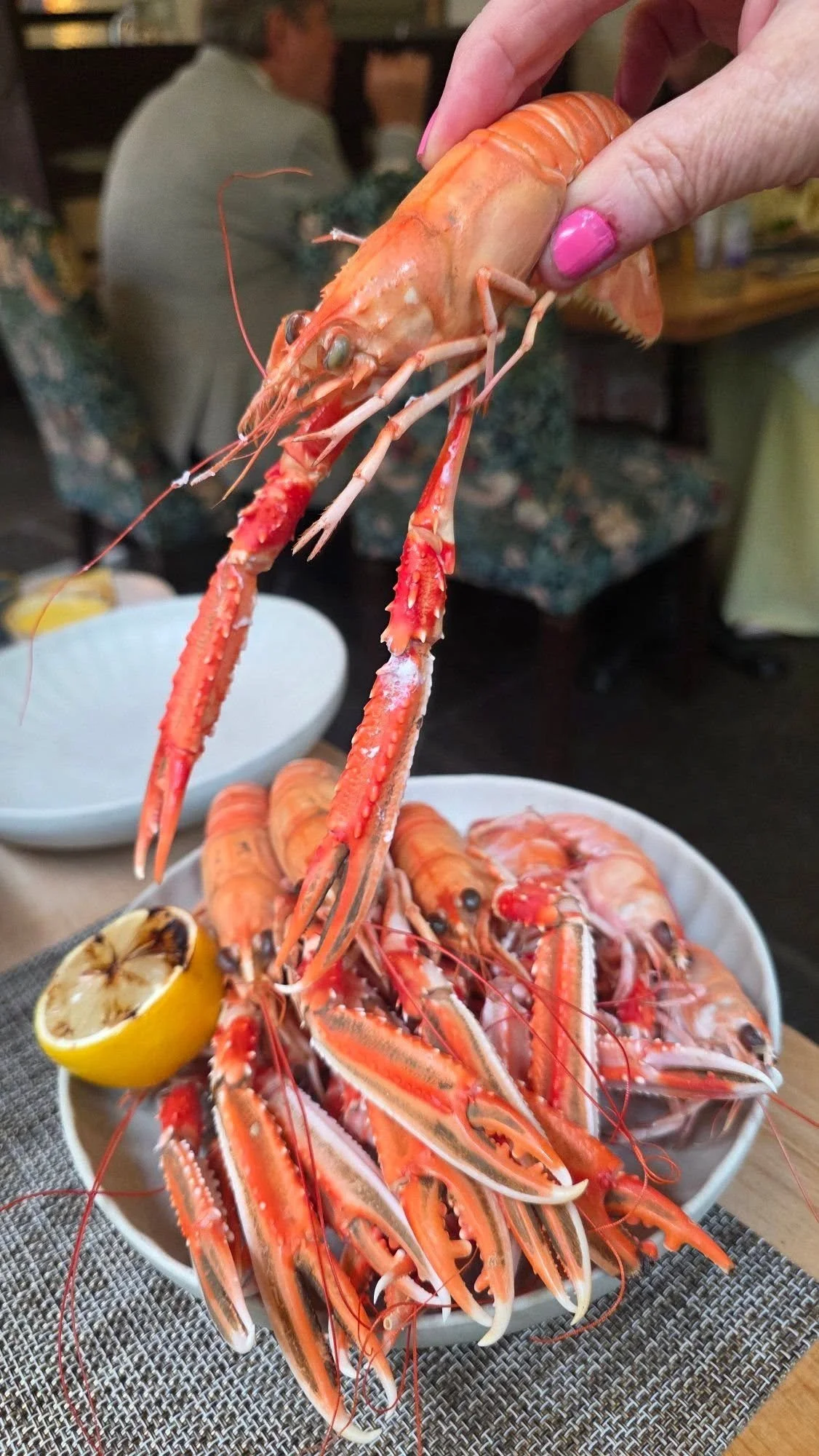 THSB langos holding.jpg