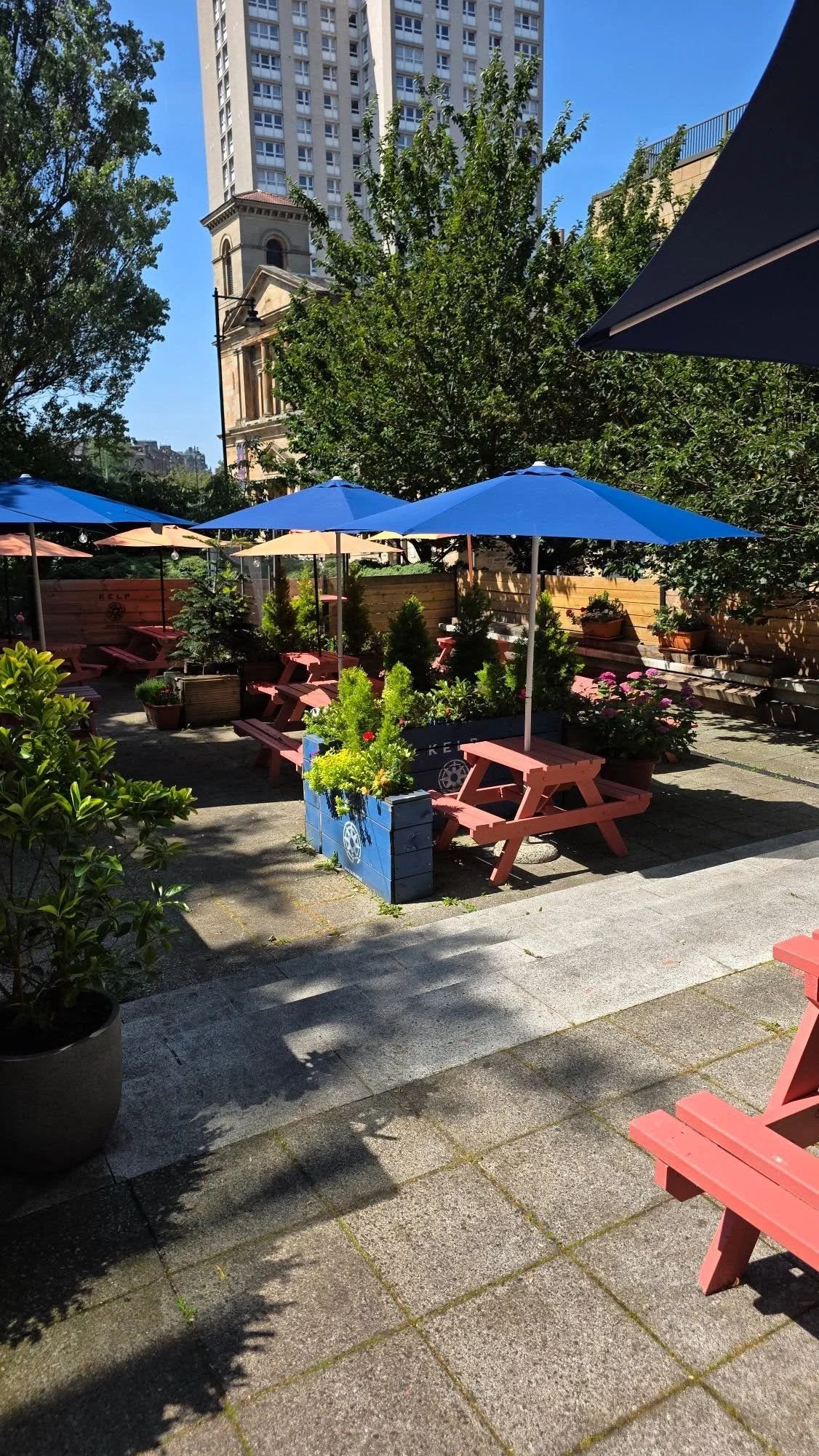 outside garden.jpg