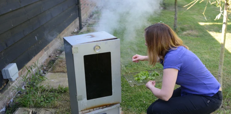 Willow Tree Events for June 2017