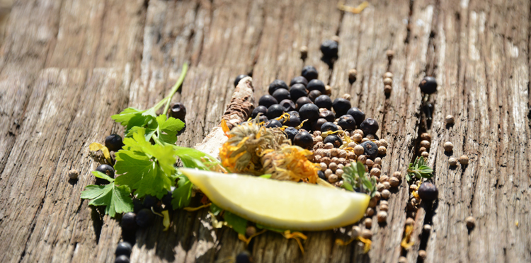 Willow Tree Events for July 2017