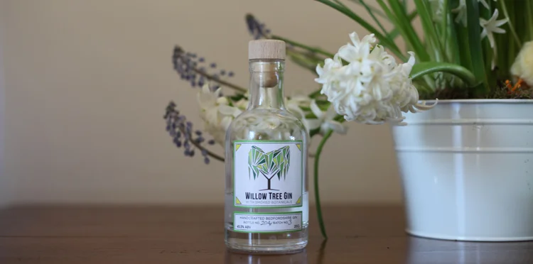 Willow Tree Events February 2018