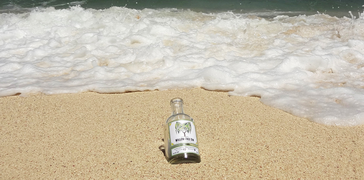 Willow Tree Events July 2018