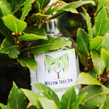 Willow Tree Gin September 2018 Events