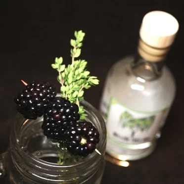 Willow Tree Gin Events February 2019